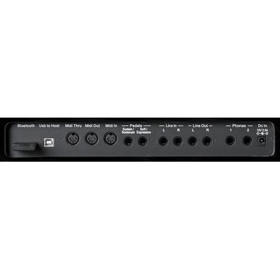 Фото Orla 438PIA0707 CDP 101 Цифровое пианино