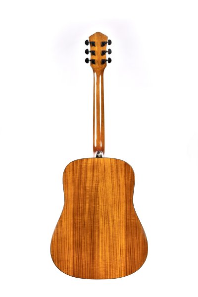 Фото Акустическая гитара Sevillia DS-250 FCKNT