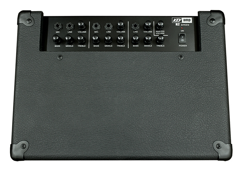 Фото Комбоусилитель Yerasov KEYamp-R2