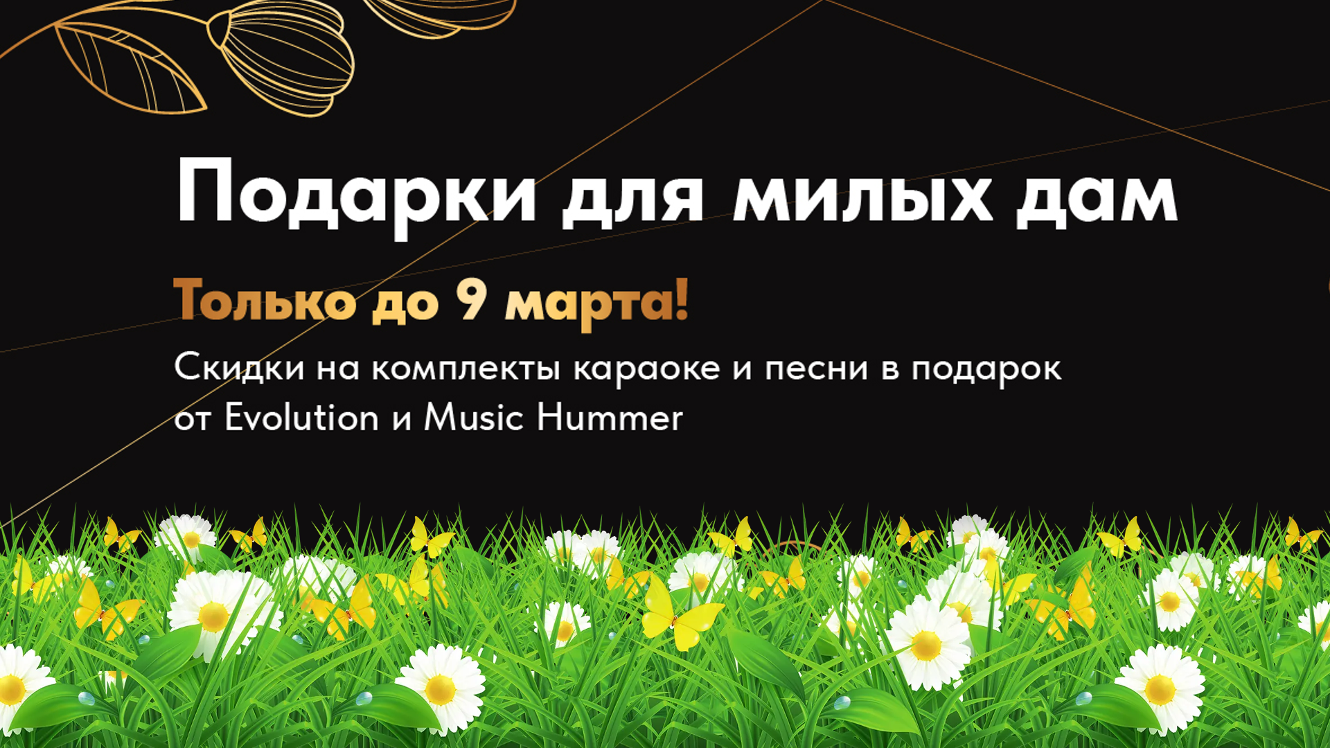 Скидки и подарки с каждым комплектом караоке от Studio Evolution