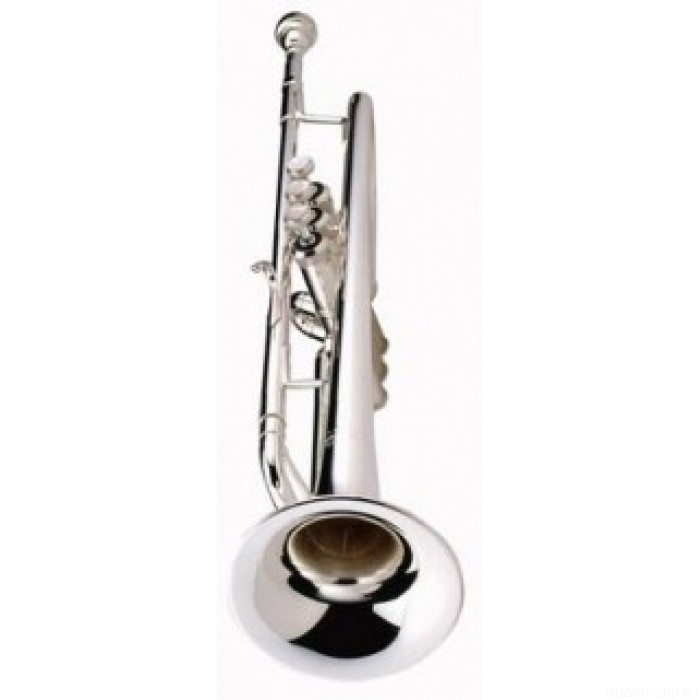 Фото BACH VBS1Sw37