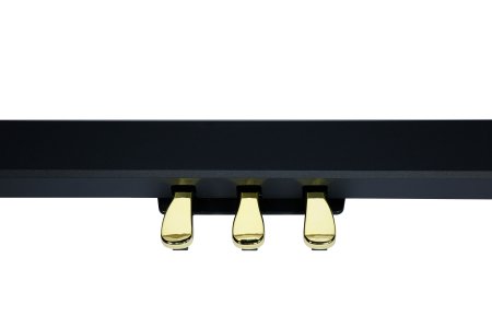 Фото Цифровое пианино Ringway RP-60 BLK