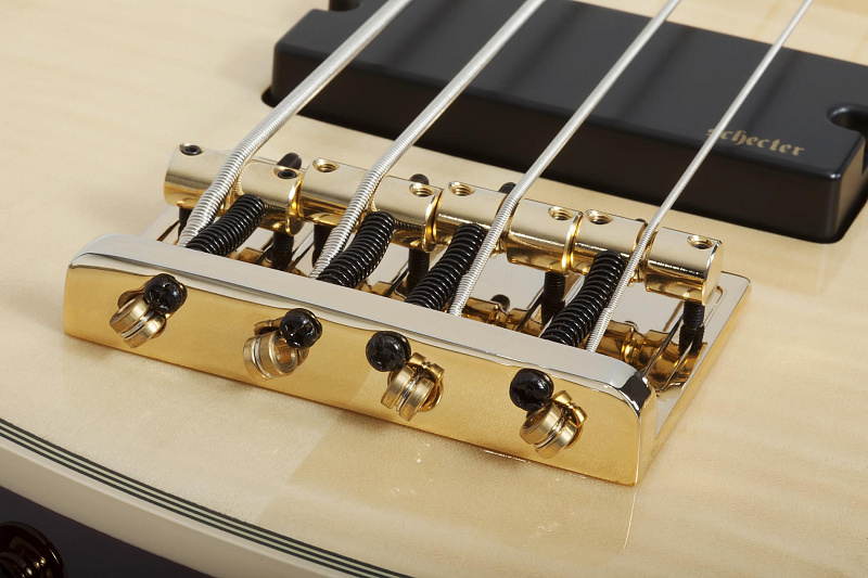 Фото Бас гитара Schecter OMEN EXTREME-4 GNAT