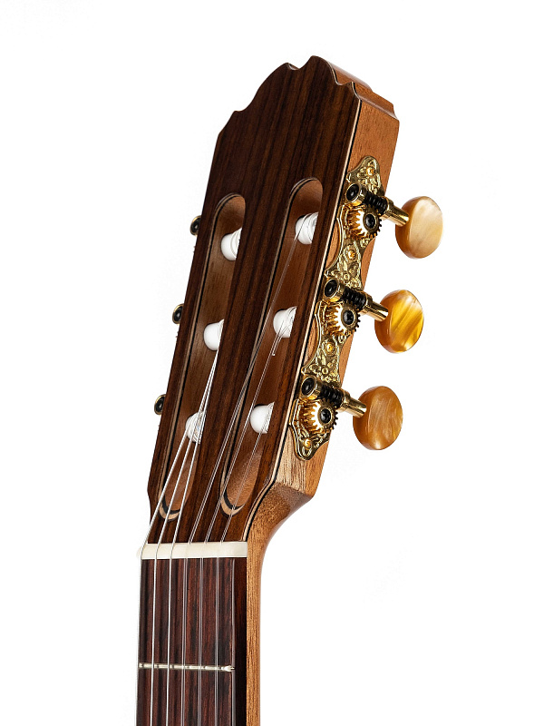 Фото Электроакустическая гитара Kremona R65CW Performer Series Rondo