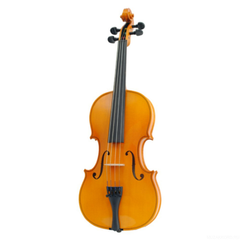 Фото Karl Hofner H11-V 1/2