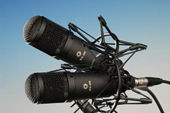 Микрофон Октава 319211 МК-319-Ч-С стереопара