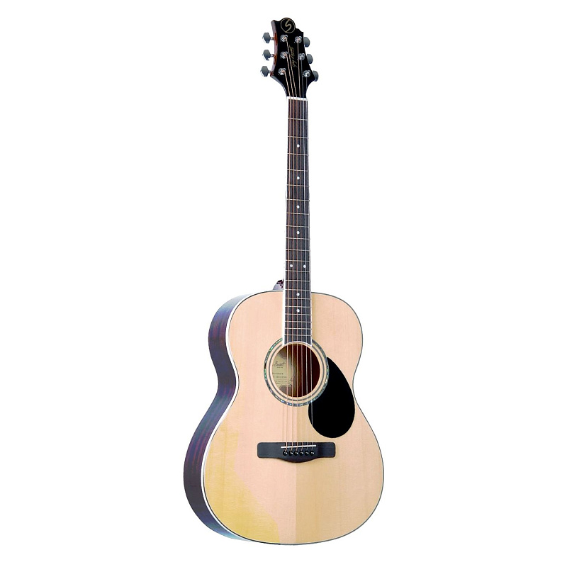 Фото GREG BENNETT GA100S/N