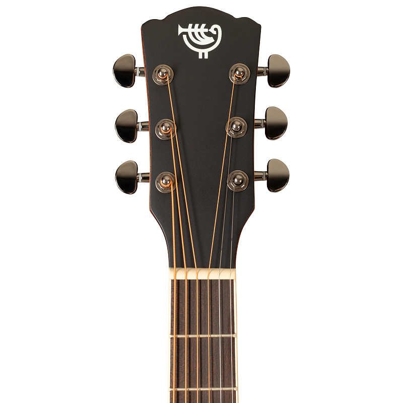 Фото Акустическая гитара ROCKDALE Aurora D6 Satin C BK