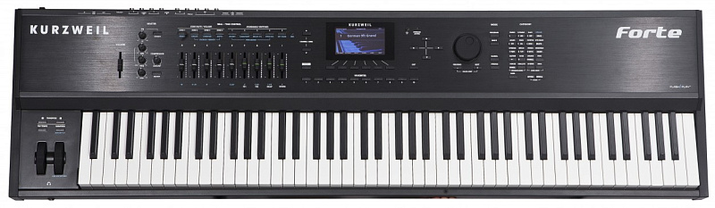 Фото Kurzweil Forte