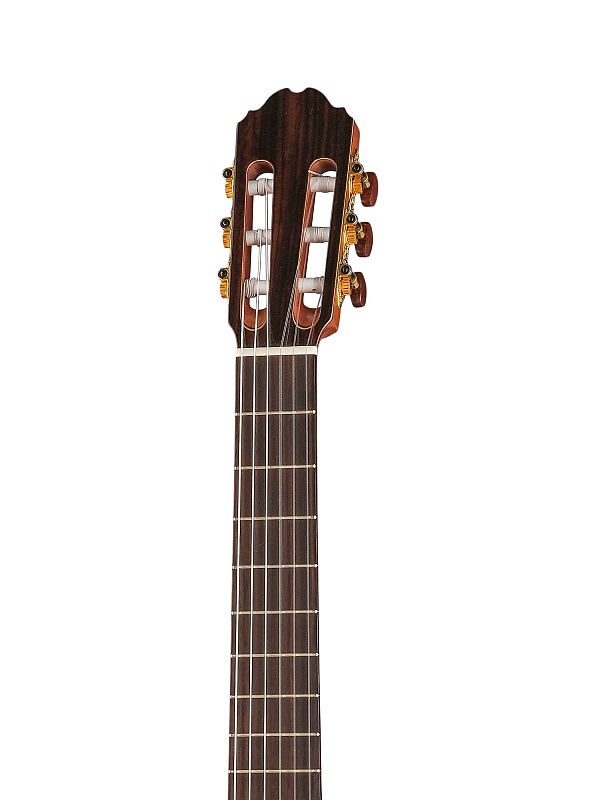 Фото Электро-акустическая гитара Kremona F65CW Performer Series Fiest