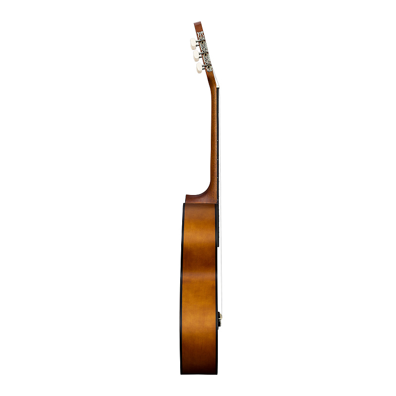 Фото CASCHA Stage Series CGC200
