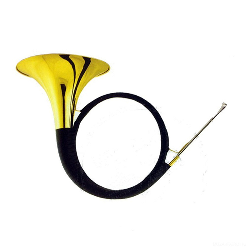 Фото BRAHNER FHN-780