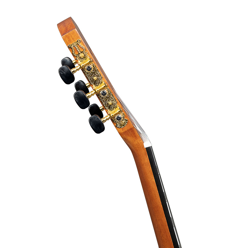 Фото CASCHA Stage Series CGC200-3/4