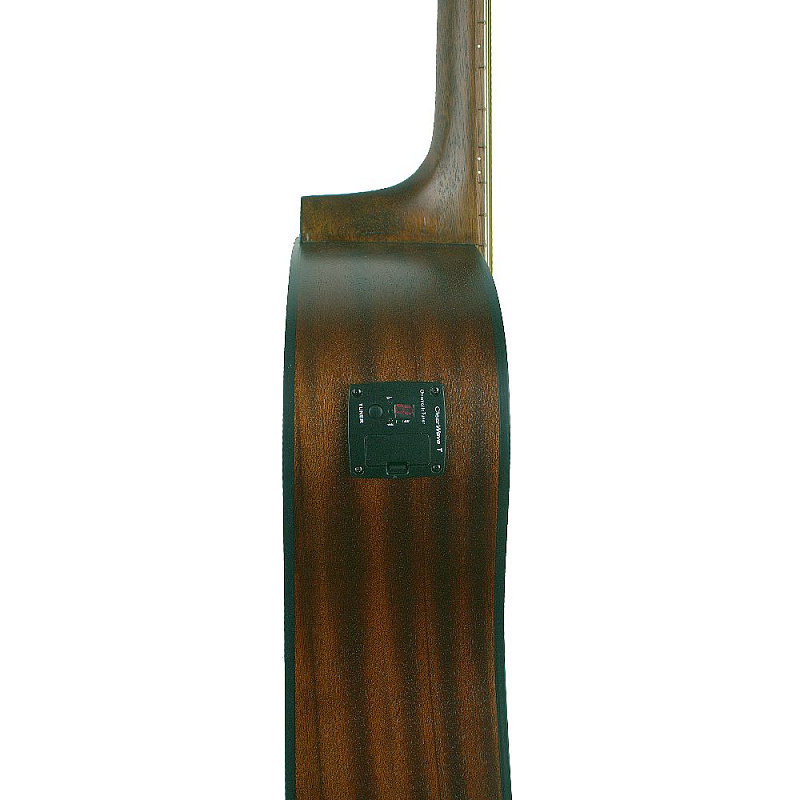 Фото Акустическая гитара GREG BENNETT GD50T/OPN