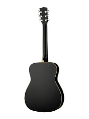 Акустическая гитара Parkwood PF51-WBAG-BKS