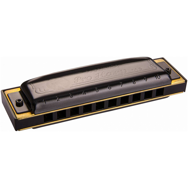 Фото HOHNER Pro Harp 562/20 MS C - Губная гармоника диатоническая Хонер