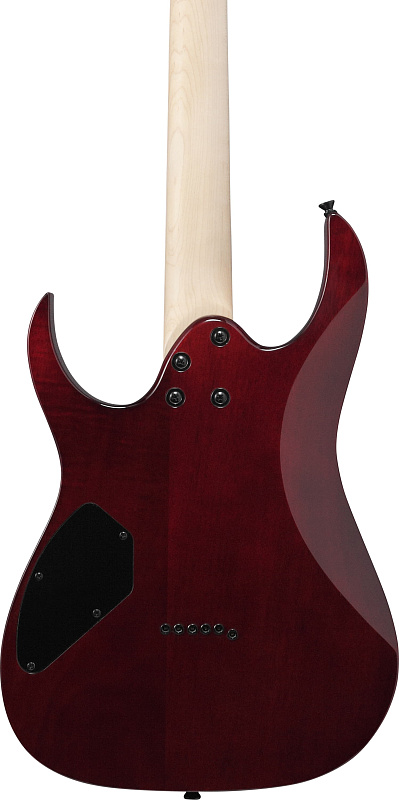 Фото Электрогитара IBANEZ GRGR221PA-AQB