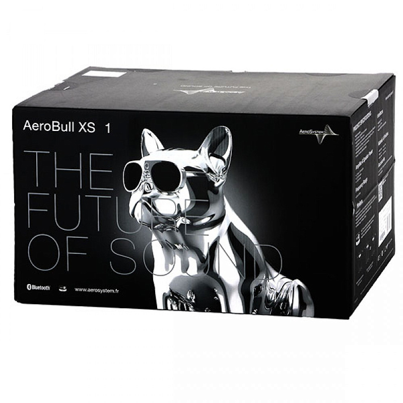 Фото Портативная акустическая система AEROSYSTEM Aerobull HD1 Chrome silver