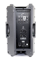 Активная акустическая система RFIntell DF12A