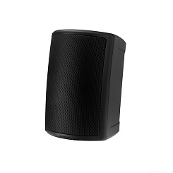 Пассивная акустическая система Tannoy AMS 5ICT