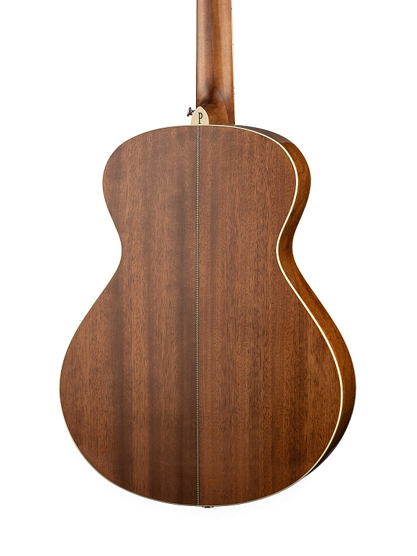 Фото Электро-акустическая гитара Parkwood P680-WCASE-NAT