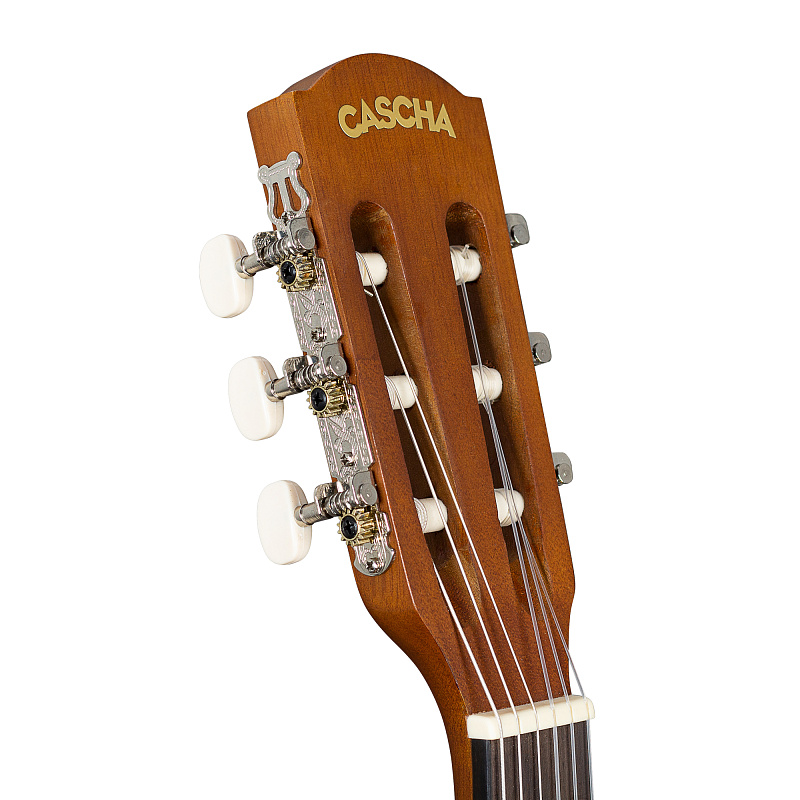 Фото CASCHA Stage Series CGC200