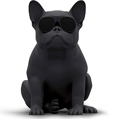 Портативная акустическая система AEROSYSTEM Aerobull HD1 Matt black