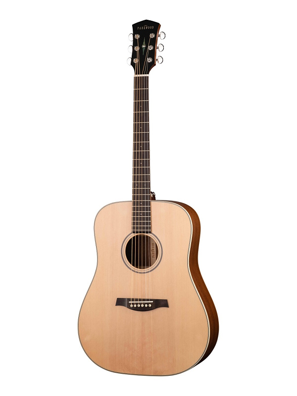 Фото Акустическая гитара Parkwood S21-GT