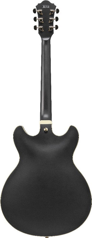 Фото Электрогитара IBANEZ AS73G-BKF