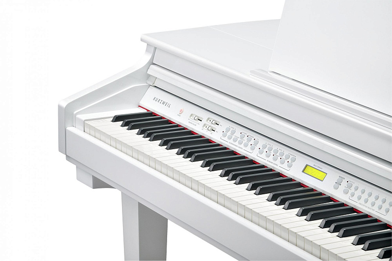 Фото Kurzweil KAG100 WHP